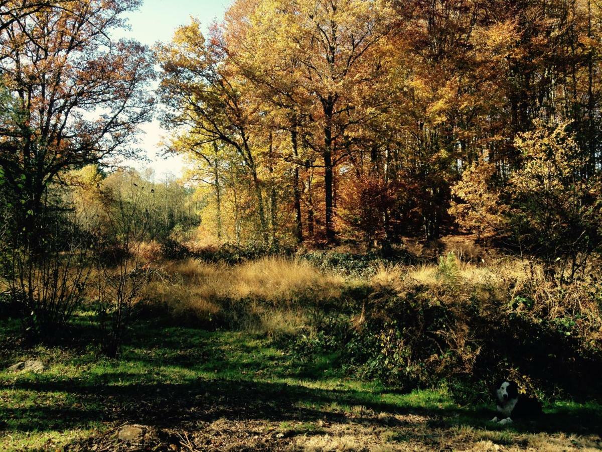 Gite Nature Le Moulin Vitrac-sur-Montane Exterior foto