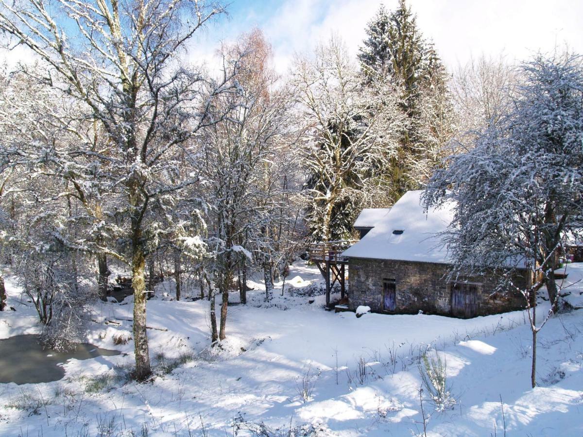 Gite Nature Le Moulin Vitrac-sur-Montane Exterior foto